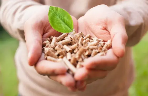 Choose Trinetra Greens' bio pallets for an environmentally friendly alternative to traditional pallets. Made from sustainable materials, our bio pallets are durable, cost-effective, and reduce your carbon footprint.